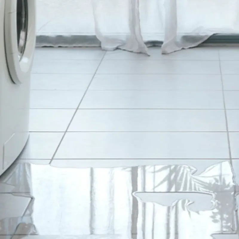 Appliance Leak Cleanup in Myrtle Grove, FL