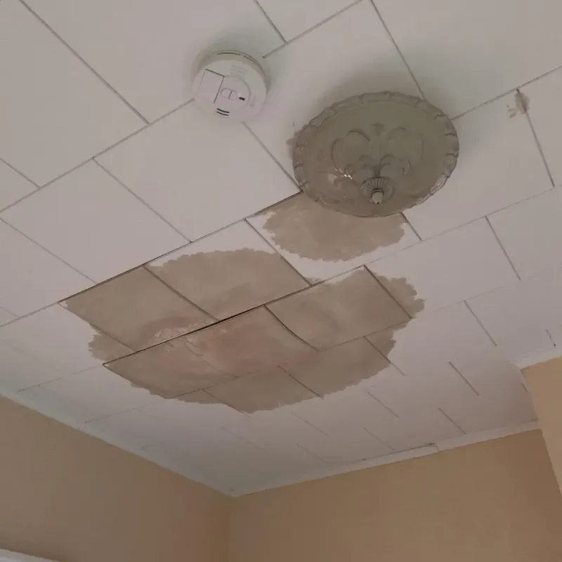 Ceiling Water Damage Repair in Myrtle Grove, FL