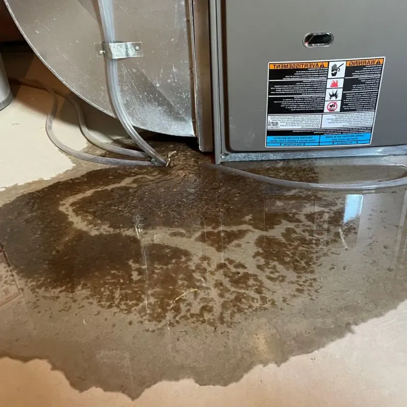 Pipe Burst and Leak Restoration in Myrtle Grove, FL